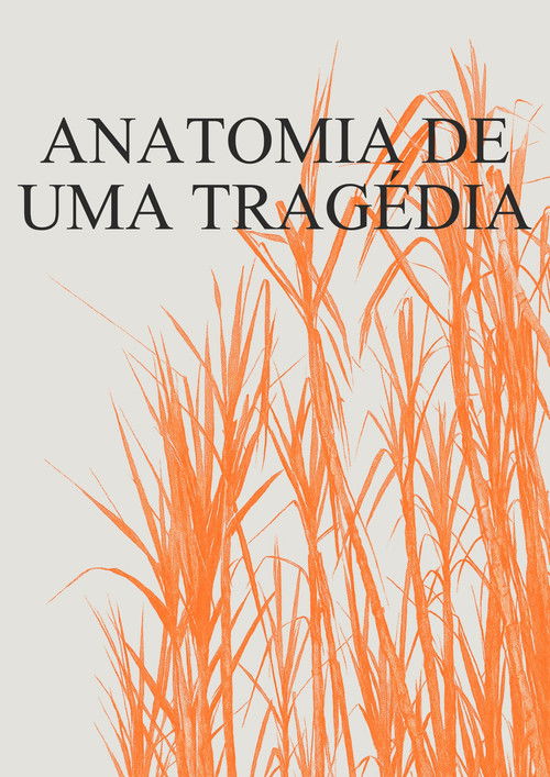 Anatomia de uma Tragédia (2025) poster