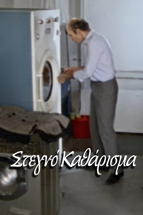 Dry Cleaning (2005) poster