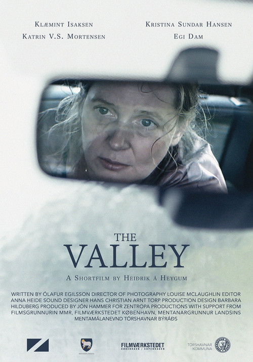The Valley (2016) poster
