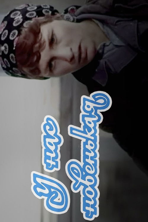 У нас новенькая (1977) poster