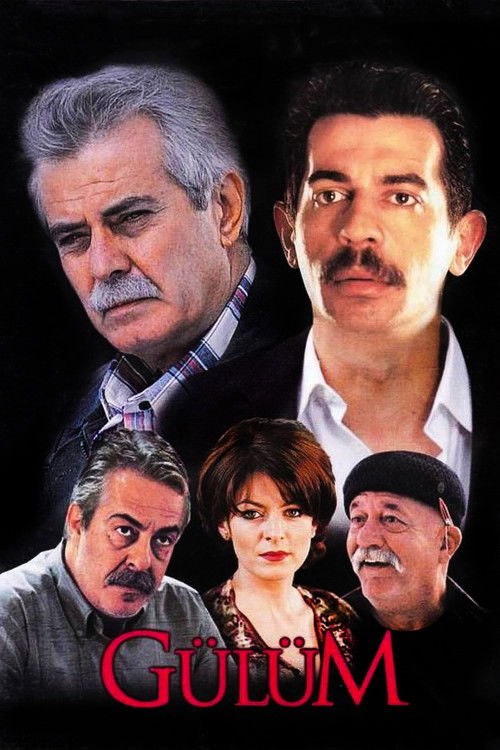 Gülüm (2003) poster