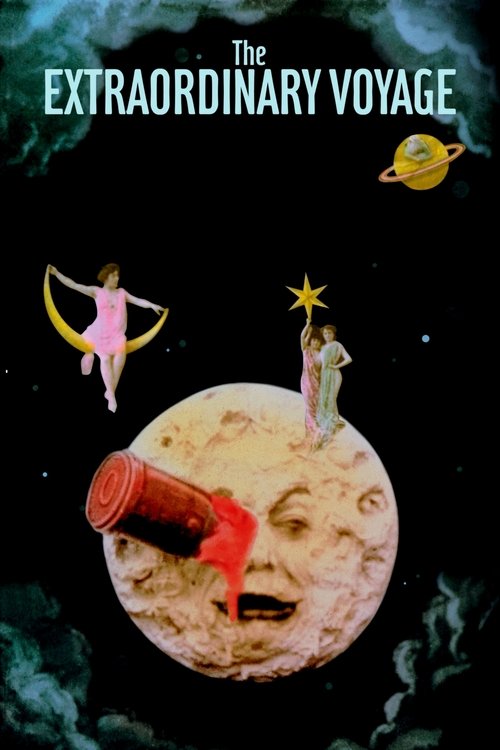 The Extraordinary Voyage (2011) poster