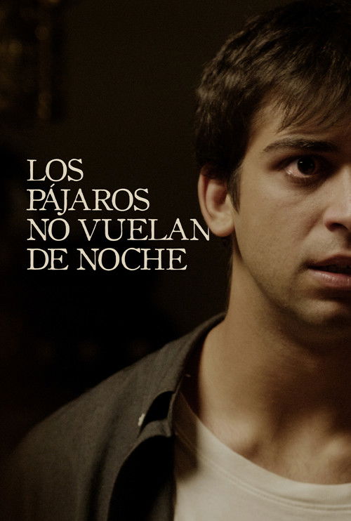 Los pájaros no vuelan de noche (2020) poster
