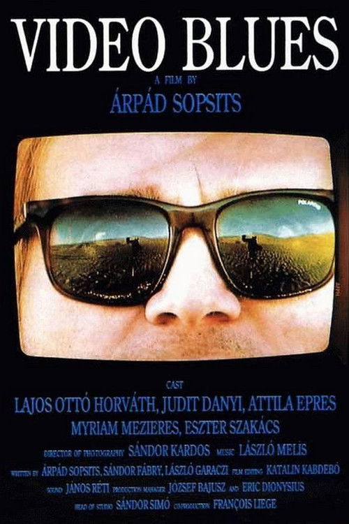 Video Blues (1992) poster