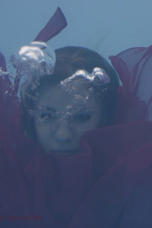 Uniform Sierra (2008) poster