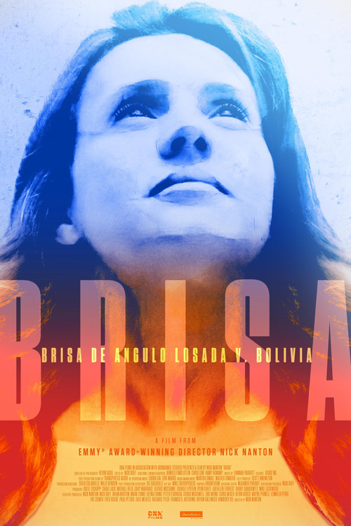 Brisa (2024) poster