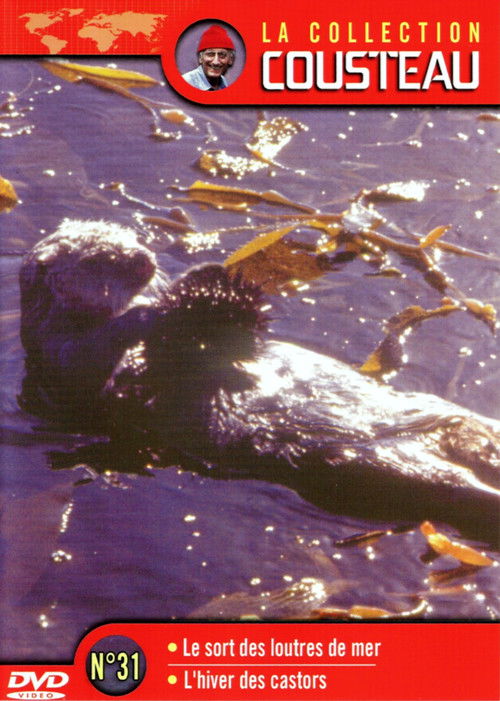 The Cousteau Collection N°31-1 | The Fate of Sea Otters (1971) poster