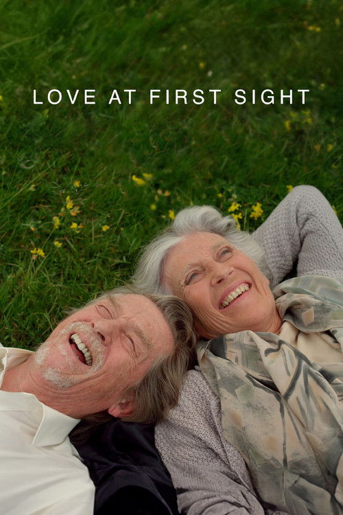 Love at First Sight (2010) poster