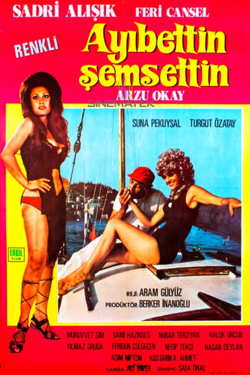 Ayıbettin Şemsettin (1971) poster