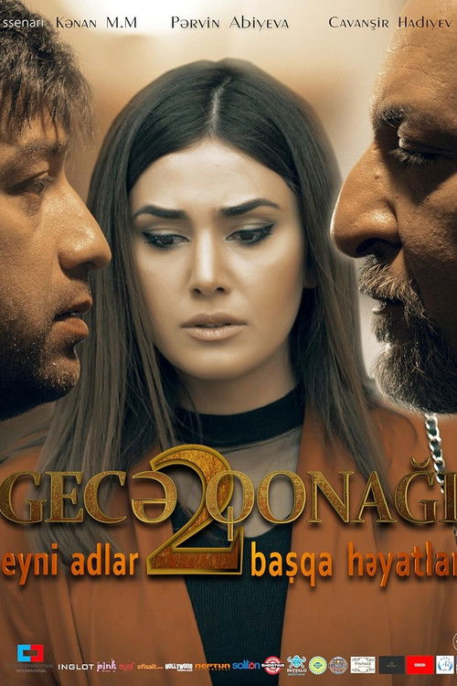 Night Guest 2 (2017) poster