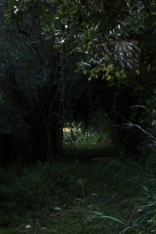 Dove Non Siamo Stati (2011) poster