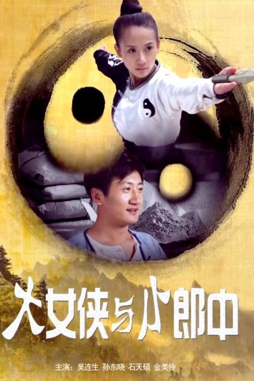 Superwoman and Physician (2013) poster