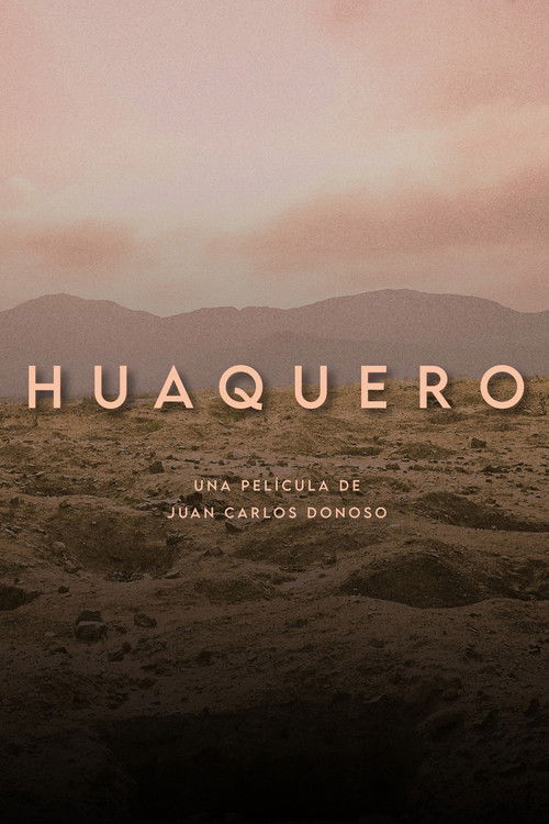 Huaquero (2024) poster