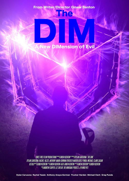 The Dim (2023) poster