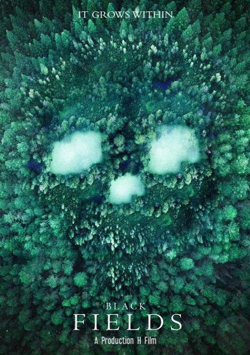 Black Fields (2021) poster