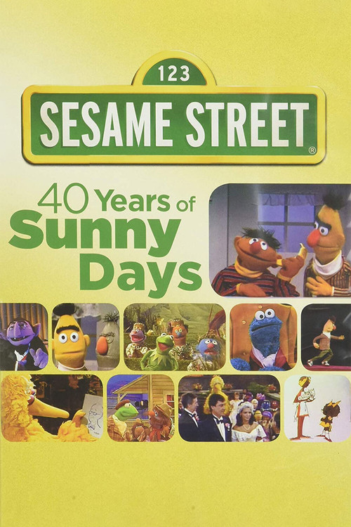 Sesame Street: 40 Years of Sunny Days (2010) poster