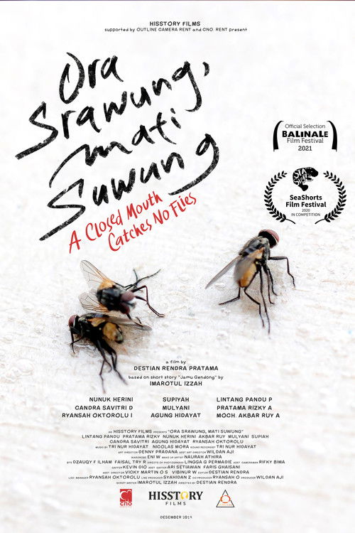 A Closed Mouth Catches No Flies (2020) poster