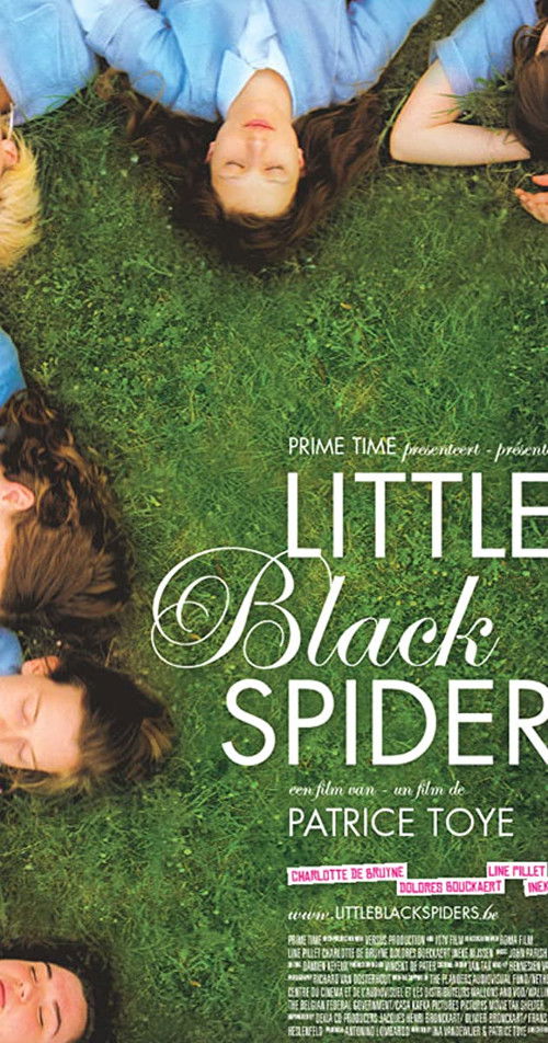 Little Black Spiders (2012) poster