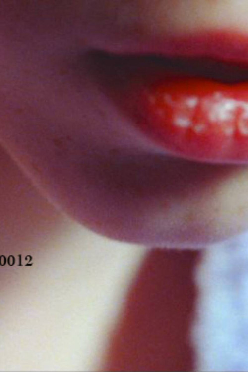 The Lipstick Stain (2013) poster