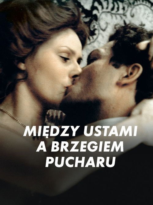 Między ustami a brzegiem pucharu (1987) poster