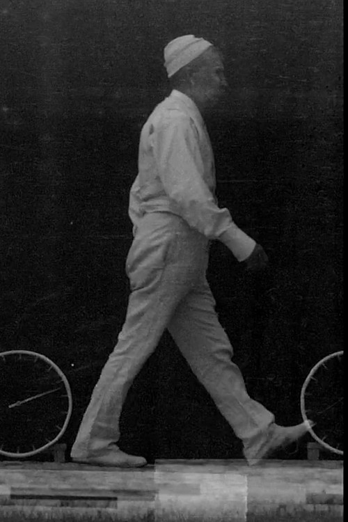 Marche Ordinaire (1895) poster