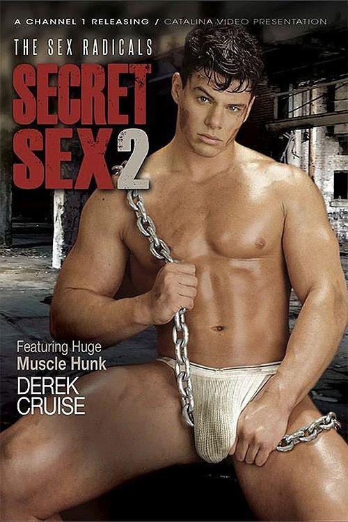 Secret Sex 2: The Sex Radicals (1994) poster