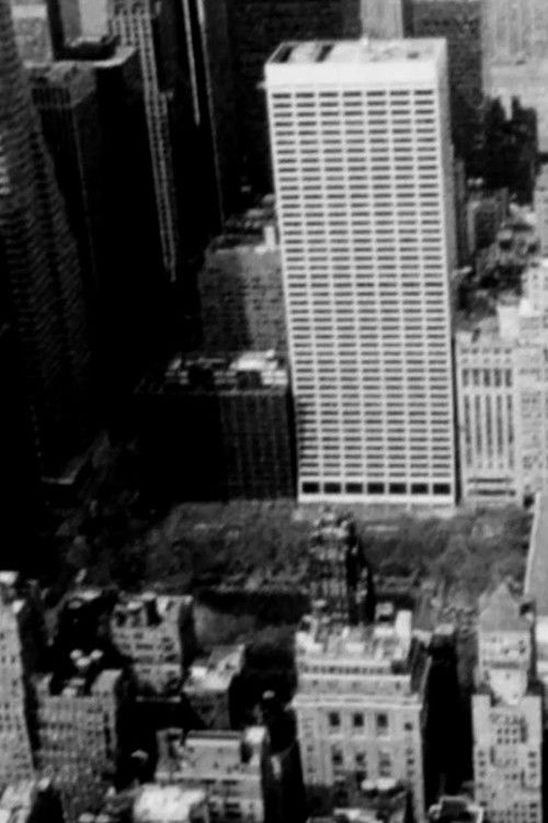 Waste no. 4 New York, New York (2020) poster