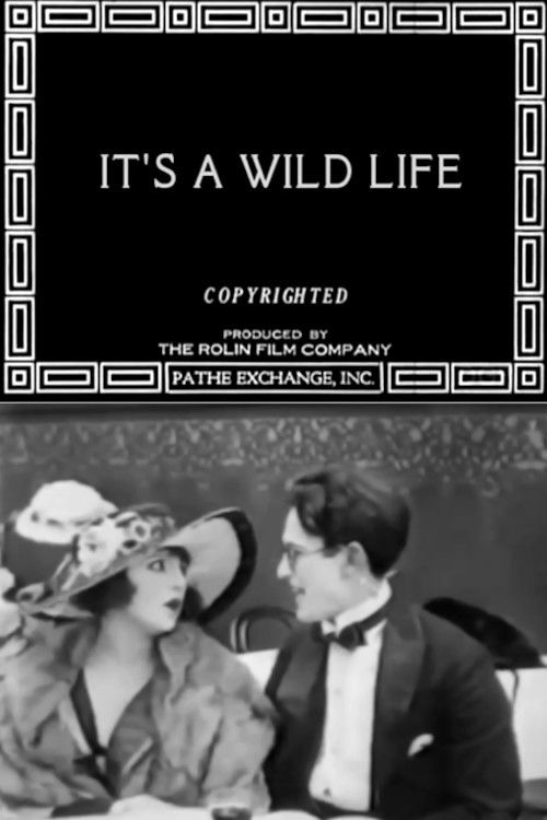It's a Wild Life (1918) poster