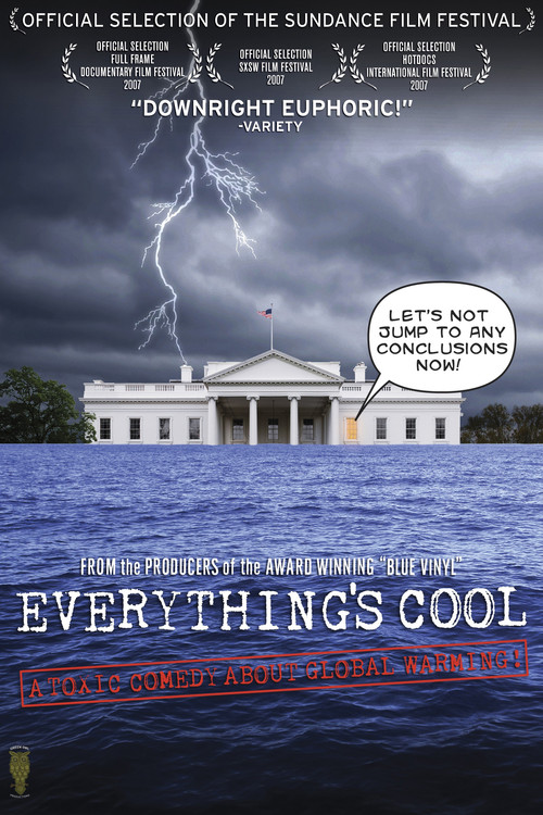 Everything's Cool (2007) poster