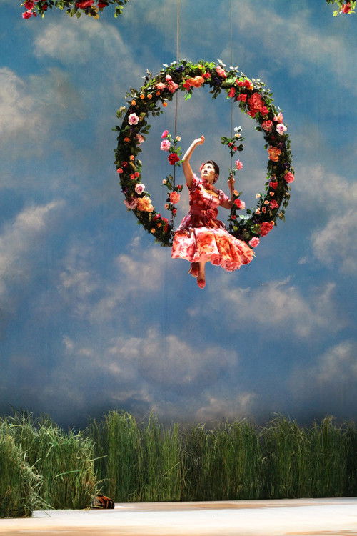 Donizetti: Don Pasquale (2015) poster