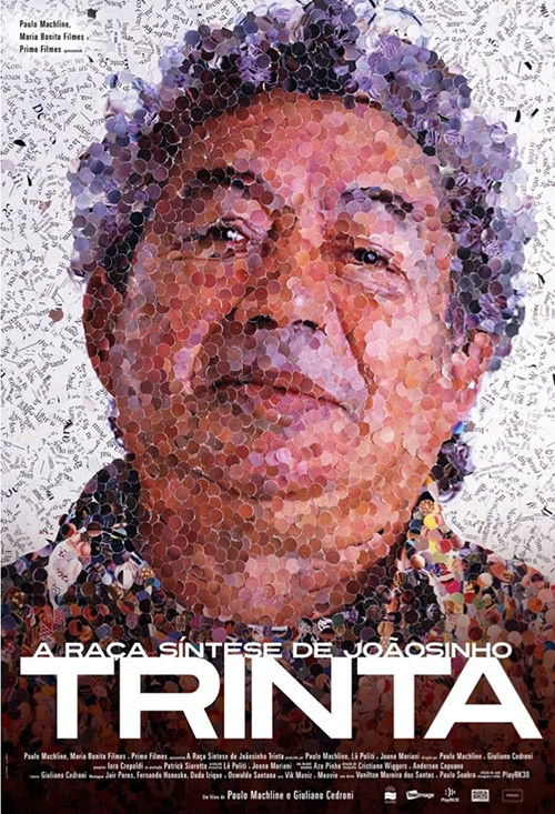 A Raça Síntese de Joãosinho Trinta (2009) poster