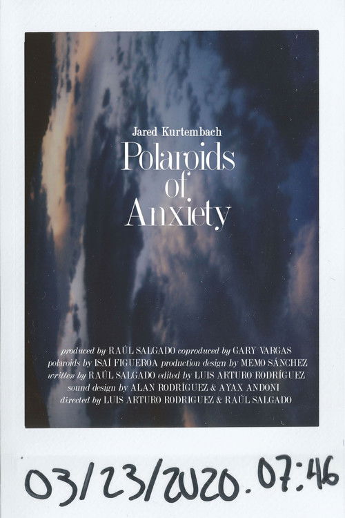 Polaroids of Anxiety (2020) poster