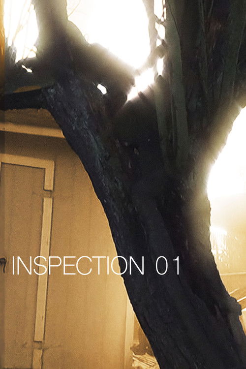 Inspection 01 (2025) poster