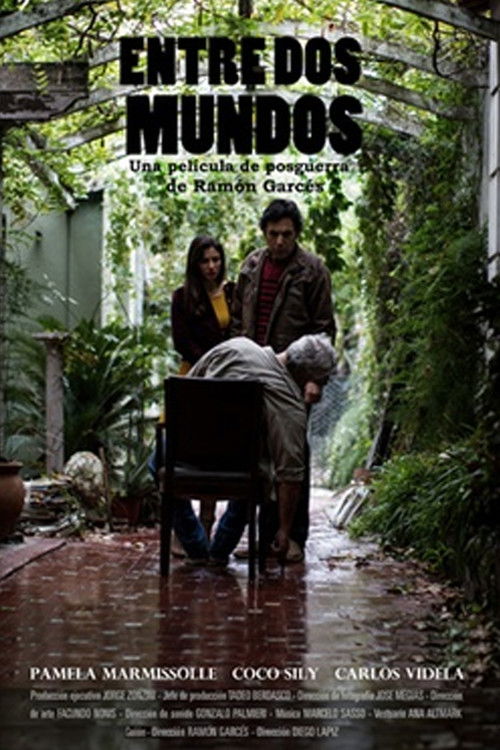 Entre dos mundos (2016) poster