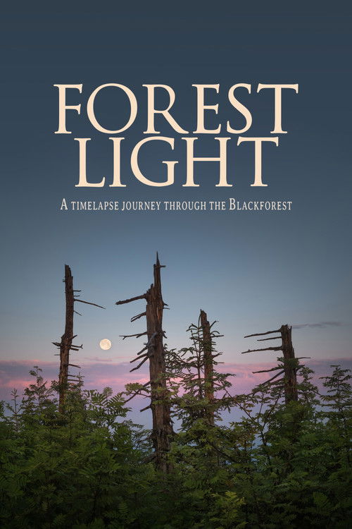 Forest Light (2021) poster