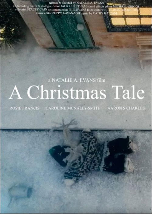 A Christmas Tale (2023) poster