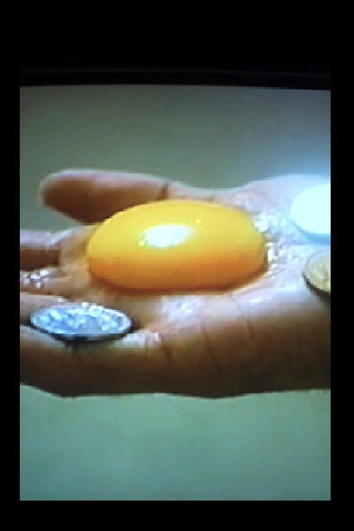 Jardim das Vulvas (2002) poster