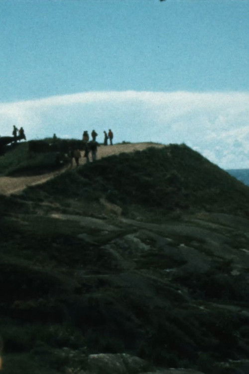 Antti Peippo – Turisti (2020) poster