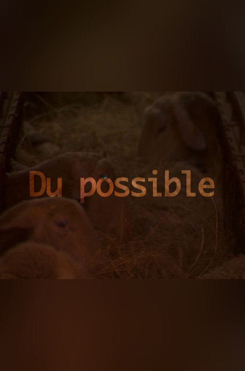 Du possible (2006) poster