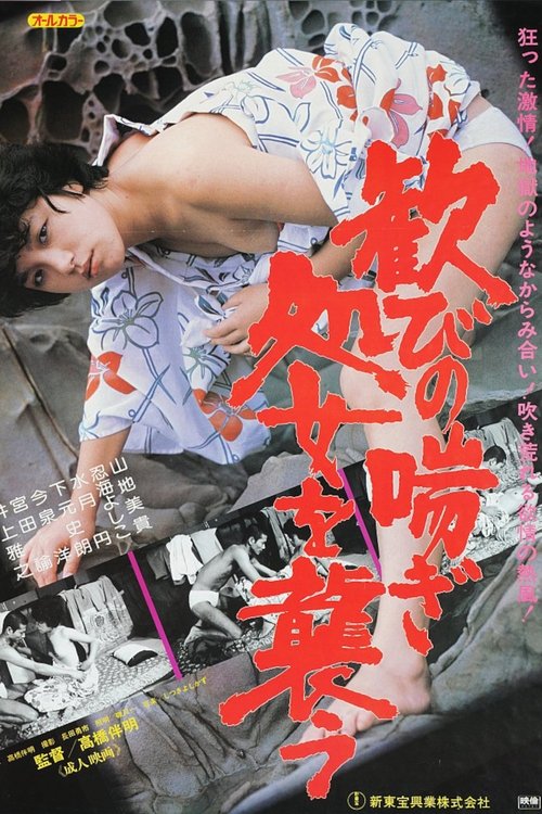 Craving Pleasure: Attack a Virgin (1981) poster