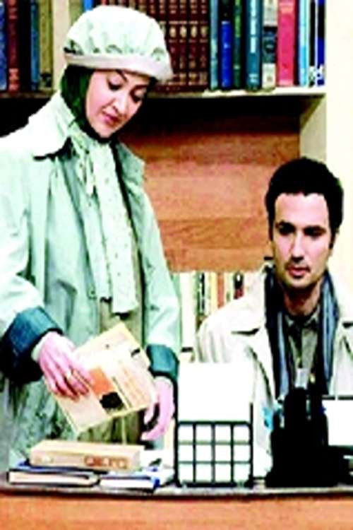 Petty Crimes of Husband and Wife (2008) poster