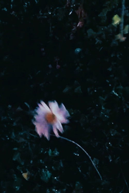 October 17th 2025 (2025) poster