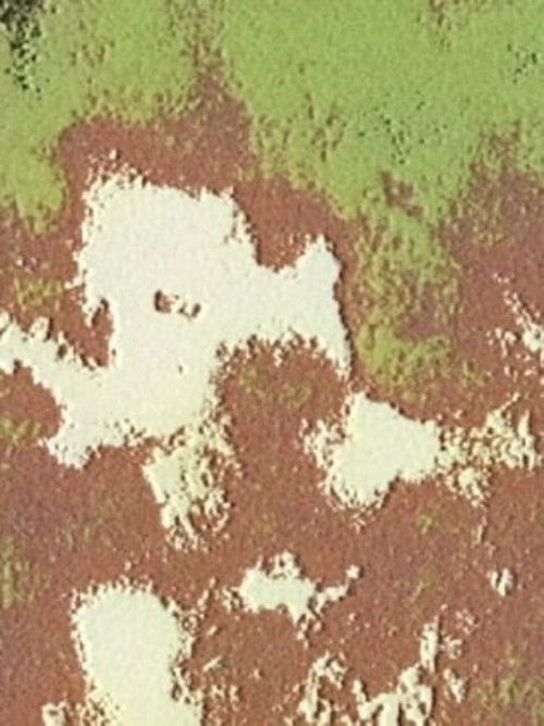 Quinkana (2025) poster