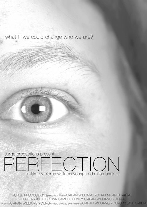 PERFECTION (2018) poster