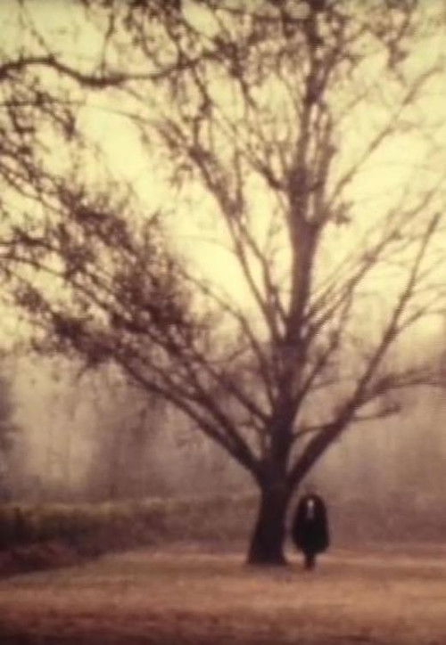 D. Jaime ou a Noite Portuguesa (1974) poster