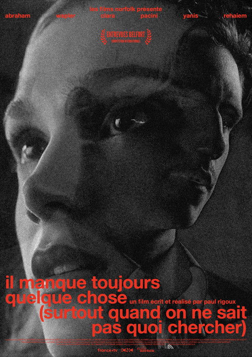 il manque toujours quelque chose (surtout quand on ne sait pas quoi chercher) (2025) poster