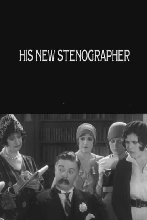 His New Stenographer (1928) poster