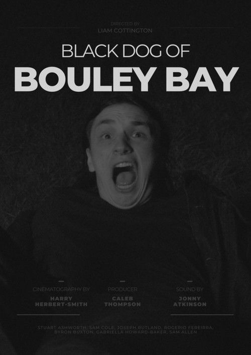 Black Dog of Bouley Bay (2022) poster