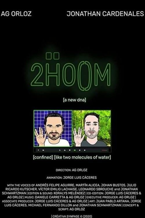 2ḦOOM [zu:m] (2020) poster