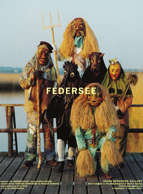 Federsee (2013) poster